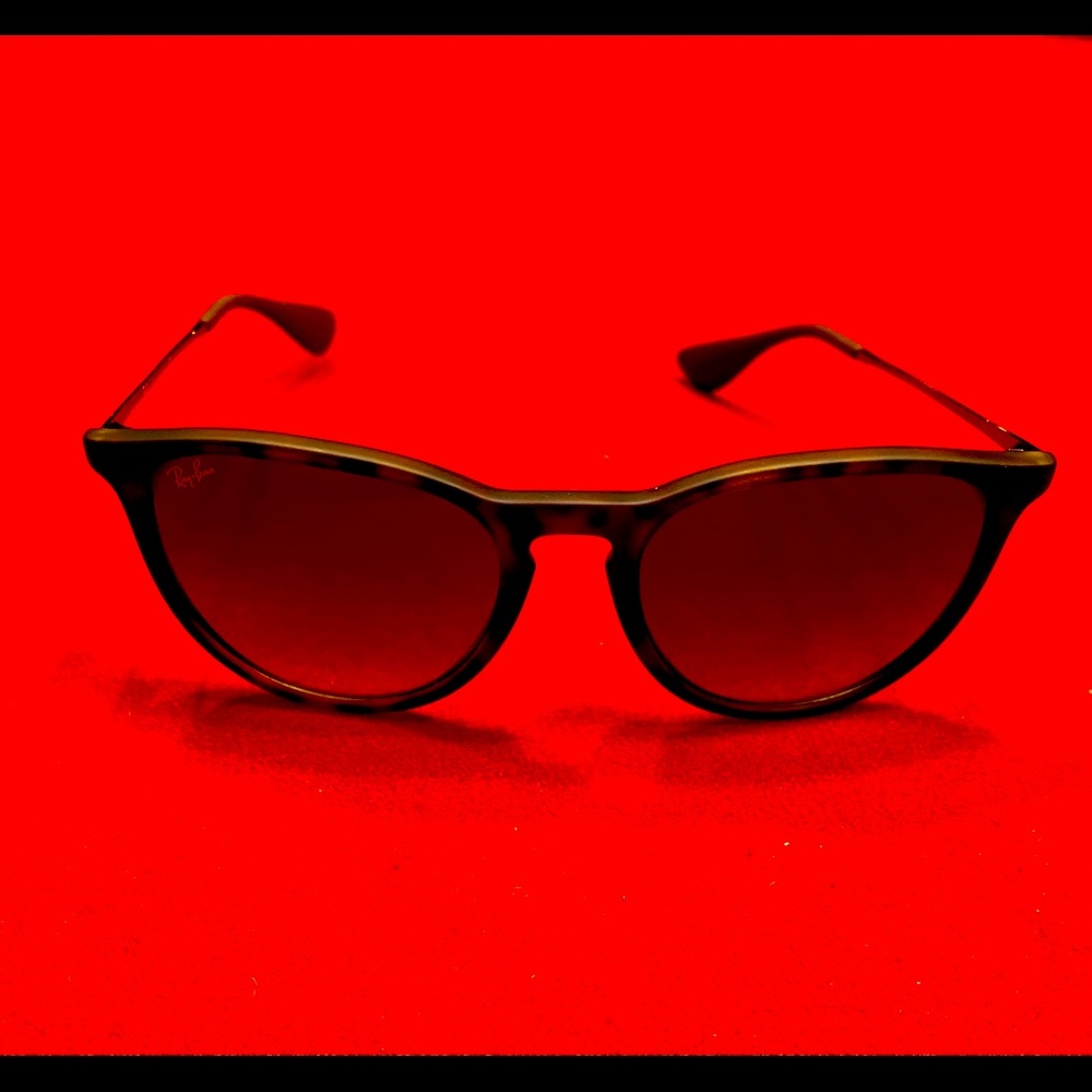 Ray-Ban Erika Sunglasses